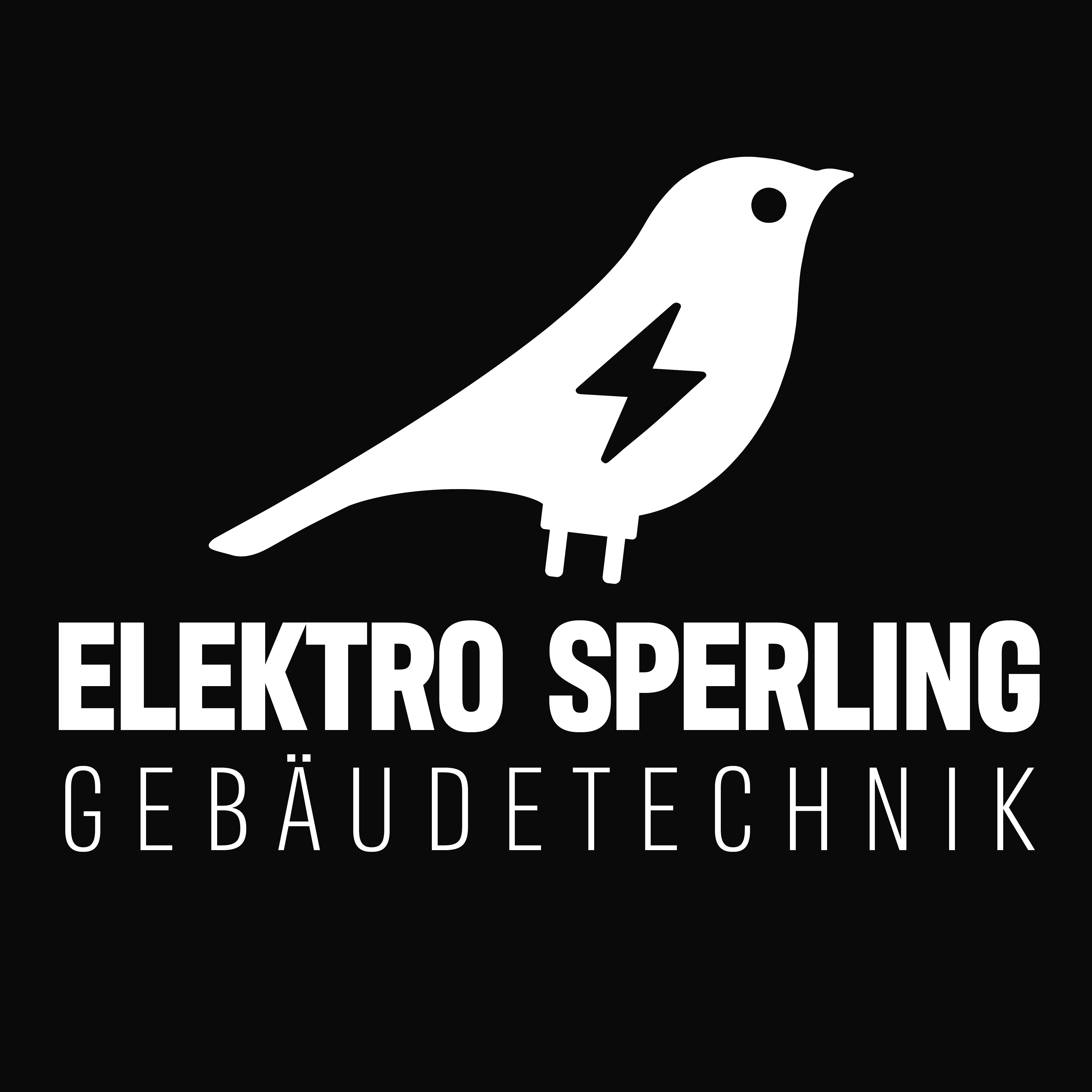 Elektro Sperling GmbH